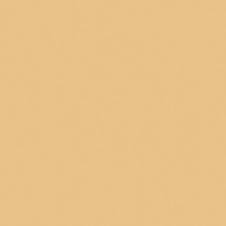 Covergirl Social Selling